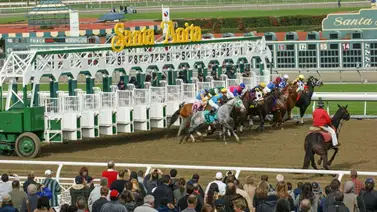 Cambios en el Morning Line: Así quedan las cuotas para el Santa Anita Handicap (G1) tras el retiro de Westwood Cambios en el Morning Line: Así quedan las cuotas para el Santa Anita Handicap (G1) tras el retiro de Westwood