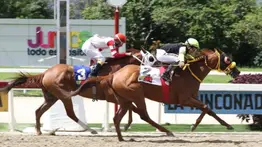 Datos para apostar en las carreras de la Rinconada