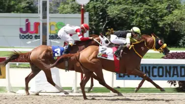 Datos para apostar en las carreras de la Rinconada Datos para apostar en las carreras de la Rinconada