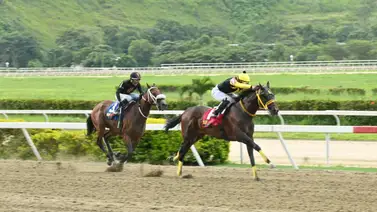 ¡Atención hípicos! El refuerzo obligatorio para superar el duelo Don Thiago y Huracán Jesús en La Rinconada ¡Atención hípicos! El refuerzo obligatorio para superar el duelo Don Thiago y Huracán Jesús en La Rinconada