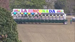 Estos son los retirados de la Reunión N°11 en el hipódromo La Rinconada para el domingo 8-3-2026