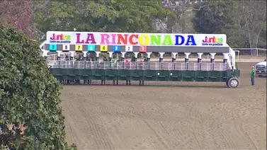 Estos son los retirados de la Reunión N°11 en el hipódromo La Rinconada para el domingo 8-3-2026 Estos son los retirados de la Reunión N°11 en el hipódromo La Rinconada para el domingo 8-3-2026
