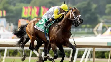 Skippylongstocking, el héroe de la Pegasus World Cup tiene carrera para las próximas semanas Skippylongstocking, el héroe de la Pegasus World Cup tiene carrera para las próximas semanas