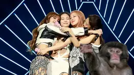 Integrante de BLACKPINK presume tierno momento con Punch, el monito viral