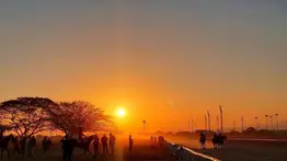 HINAVA llama a Averiguación Administrativa esta yunta en Valencia 