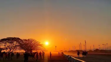 HINAVA llama a Averiguación Administrativa esta yunta en Valencia HINAVA llama a Averiguación Administrativa esta yunta en Valencia