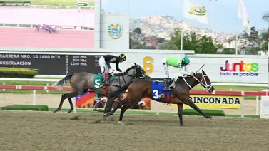 Tale Of May: La importada de lujo que dicta la pauta en el Clásico "Eduardo Larrazábal" (GIII) Tale Of May: La importada de lujo que dicta la pauta en el Clásico "Eduardo Larrazábal" (GIII)