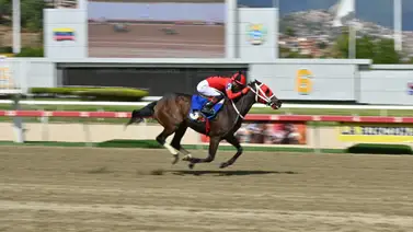 Ekati King y la misión del Stud "Don Rafael V": Ratificar su clase en los 1.200 metros en La Rinconada Ekati King y la misión del Stud "Don Rafael V": Ratificar su clase en los 1.200 metros en La Rinconada