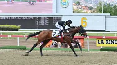 ¡Incontenible! Rockville enfoca sus baterías hacia el LXVI Clásico "José María Vargas" (GII) ¡Incontenible! Rockville enfoca sus baterías hacia el LXVI Clásico "José María Vargas" (GII)