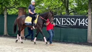 ¡Se acabó la espera! El selectivo Tuscan Gold hace su debut oficial en La Rinconada ¡Se acabó la espera! El selectivo Tuscan Gold hace su debut oficial en La Rinconada