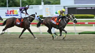 Un campeón de la velocidad pone fin a 154 días de inactividad en La Rinconada Un campeón de la velocidad pone fin a 154 días de inactividad en La Rinconada