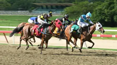 Llegó el momento: Mucho ojo en la quinta válida porque hay una yegua que retorna tras 112 días y buscaría la gloria Llegó el momento: Mucho ojo en la quinta válida porque hay una yegua que retorna tras 112 días y buscaría la gloria