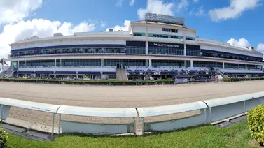 Gulfstream Park con tres Stakes sabatinos en la semana 16 del Championship Meet Gulfstream Park con tres Stakes sabatinos en la semana 16 del Championship Meet