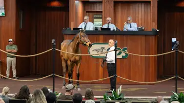 Conozca el hijo del semental Corniche que acaba de ser subastado en $1.350.000 en el primer día de Ocala Breeders’ Sale Conozca el hijo del semental Corniche que acaba de ser subastado en $1.350.000 en el primer día de Ocala Breeders’ Sale