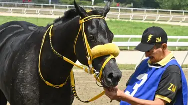 Efectividad comprobada: La corredora que desafía el tiempo de inactividad con su regreso a La Rinconada Efectividad comprobada: La corredora que desafía el tiempo de inactividad con su regreso a La Rinconada