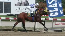 El muro de los 2.000 metros: Descubre qué ejemplar posee la marca más veloz en la historia de esta selectiva de Grado II