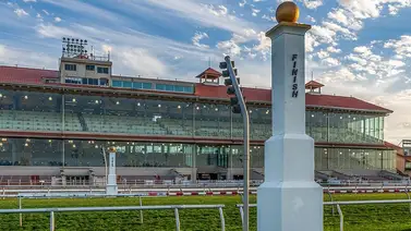 63 purasangres nominados para el Louisiana Derby (G2) y su bolsa de un millón de dólares 63 purasangres nominados para el Louisiana Derby (G2) y su bolsa de un millón de dólares