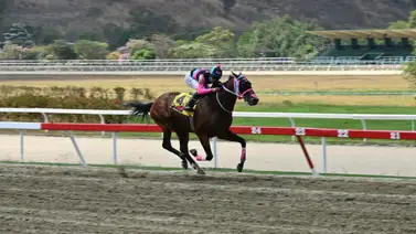 Expectativa en el óvalo: Reaparece ganador clásico ahora presentado por Oscar Manuel González Expectativa en el óvalo: Reaparece ganador clásico ahora presentado por Oscar Manuel González