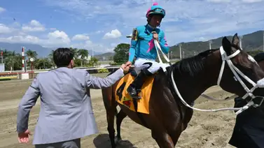 Princesa Fina y Correia Jr.: ante el desafío de los 2.000 metros en La Rinconada Princesa Fina y Correia Jr.: ante el desafío de los 2.000 metros en La Rinconada