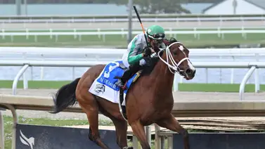 Mythical busca la gloria en el Any Limit Stakes este sábado en Gulfstream Park Mythical busca la gloria en el Any Limit Stakes este sábado en Gulfstream Park
