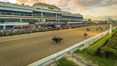 Arbiter busca mantener su invicto en el Hutcheson Stakes de Gulfstream Park Arbiter busca mantener su invicto en el Hutcheson Stakes de Gulfstream Park