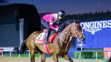Forever Young en la Dubai World Cup: ¿Cuál es su situación y qué dice el entrenador? Forever Young en la Dubai World Cup: ¿Cuál es su situación y qué dice el entrenador?