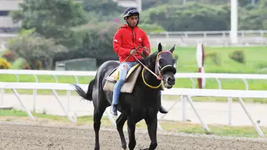 Hay vida: Oliver Medina proyecta triunfos clave con estos ejemplares para la R12 Hay vida: Oliver Medina proyecta triunfos clave con estos ejemplares para la R12