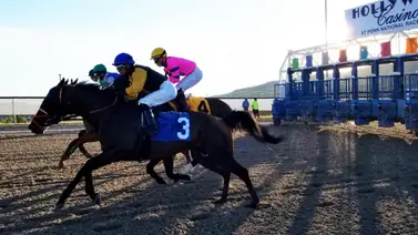 ¡No hay caballos! Hipódromo cancela jornada del viernes por falta de inscritos ¡No hay caballos! Hipódromo cancela jornada del viernes por falta de inscritos