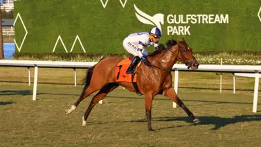 Moon Spun con Javier Castellano a mantener la racha en el Captiva Island Stakes en Gulfstream Park Moon Spun con Javier Castellano a mantener la racha en el Captiva Island Stakes en Gulfstream Park