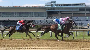 Igniter vs. Easy Decision: El duelo estelar del Jimmy Winkfield Stakes en Aqueduct Igniter vs. Easy Decision: El duelo estelar del Jimmy Winkfield Stakes en Aqueduct