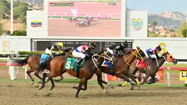 La estrategia es clara: Con el ajuste de la línea de Gaceta Hípica podrá decidir su victoria en el 5y6 La estrategia es clara: Con el ajuste de la línea de Gaceta Hípica podrá decidir su victoria en el 5y6