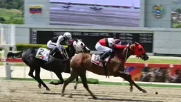 Estén muy pendiente en la primera válida porque corre una yegua que es el dato más sonado para el 5y6 dominical