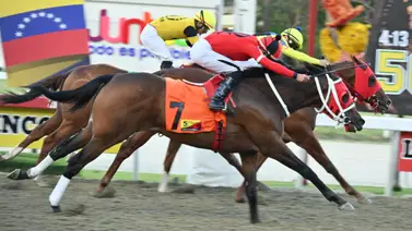 Nómina ajustada: Se reduce el lote en el Socopó (GIII) tras el retiro de un gran favorito Nómina ajustada: Se reduce el lote en el Socopó (GIII) tras el retiro de un gran favorito