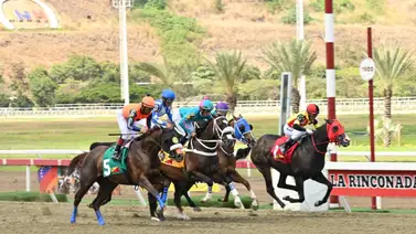 ¿Hacia la gloria eterna? Princesa Fina busca igualar una marca histórica este domingo en La Rinconada ¿Hacia la gloria eterna? Princesa Fina busca igualar una marca histórica este domingo en La Rinconada