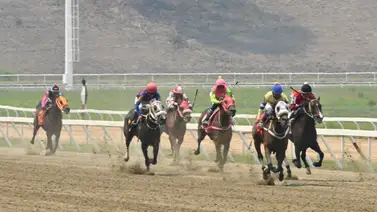 La clave para el 5y6: Aquí te damos la información más "regada" para la quinta válida de la R12 La clave para el 5y6: Aquí te damos la información más "regada" para la quinta válida de la R12