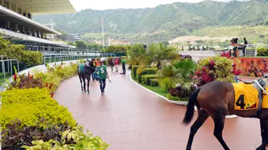 Aficionado hípico: Anuncian un retiro para el ciclo no válido de la R12 y entérate de qué ejemplar se trata Aficionado hípico: Anuncian un retiro para el ciclo no válido de la R12 y entérate de qué ejemplar se trata