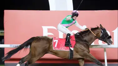 ¿A dónde irá el campeón? Se confirma el prestigioso destino del millonario Laurel River para la temporada de monta ¿A dónde irá el campeón? Se confirma el prestigioso destino del millonario Laurel River para la temporada de monta