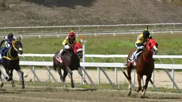 No selles sin leer: Entérate del ajuste que ratifica el favoritismo de la gran opción de Gaceta Hípica para el 5y6 de la R12