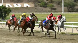 Atención: En la carrera de los acumulados del 5y6 se presenta el retiro de uno de los ejemplares más veloces