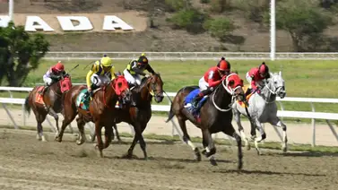 Atención: En la carrera de los acumulados del 5y6 se presenta el retiro de uno de los ejemplares más veloces Atención: En la carrera de los acumulados del 5y6 se presenta el retiro de uno de los ejemplares más veloces