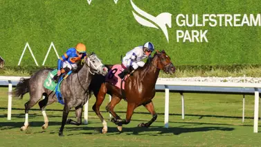 ¿Quiénes sustituyen al campeón? Estos son los jinetes que heredarán las montas de Irad Ortiz Jr. este viernes en Gulfstream Park ¿Quiénes sustituyen al campeón? Estos son los jinetes que heredarán las montas de Irad Ortiz Jr. este viernes en Gulfstream Park