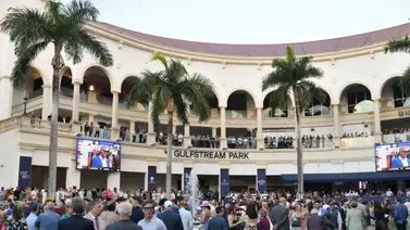 Revés legislativo para Gulfstream Park: la desvinculación de las máquinas tragamonedas fracasa en Florida Revés legislativo para Gulfstream Park: la desvinculación de las máquinas tragamonedas fracasa en Florida