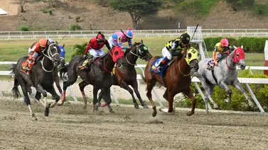 ¿Buscas los mejores dividendos? Aquí tienes la fuerza y el "especial" de la R12 en La Rinconada ¿Buscas los mejores dividendos? Aquí tienes la fuerza y el "especial" de la R12 en La Rinconada