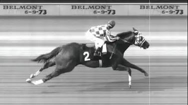 El tesoro de Secretariat: mira el astronómico precio final de la silla que conquistó la Triple Corona de 1973 El tesoro de Secretariat: mira el astronómico precio final de la silla que conquistó la Triple Corona de 1973