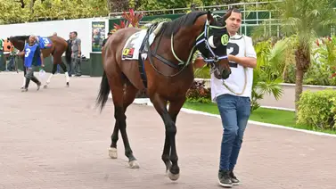 ¡Alerta en el 5y6! Dos superfijos que buscan romper un ayuno histórico de victorias en La Rinconada ¡Alerta en el 5y6! Dos superfijos que buscan romper un ayuno histórico de victorias en La Rinconada