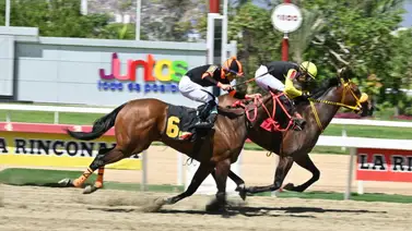 Conoce a los ejemplares con el mejor Rating para la R12 en La Rinconada Conoce a los ejemplares con el mejor Rating para la R12 en La Rinconada