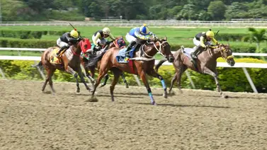 ¿Starship Gold o Queen Alabama? La tercera vía que promete dividendos de lujo en La Rinconada ¿Starship Gold o Queen Alabama? La tercera vía que promete dividendos de lujo en La Rinconada