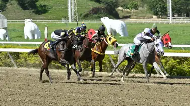 La importada que busca “romper el maiden” en este 2026 y juega como línea nacional en La Rinconada La importada que busca “romper el maiden” en este 2026 y juega como línea nacional en La Rinconada