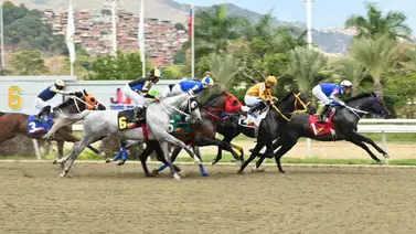 La Rinconada: Datos de Última Hora para el 15-03-2026 La Rinconada: Datos de Última Hora para el 15-03-2026