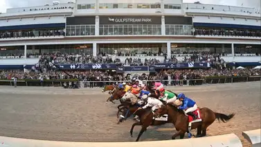 Descubre los fijos de La Previa Hípica Internacional de Meridiano para este 14 de marzo Descubre los fijos de La Previa Hípica Internacional de Meridiano para este 14 de marzo